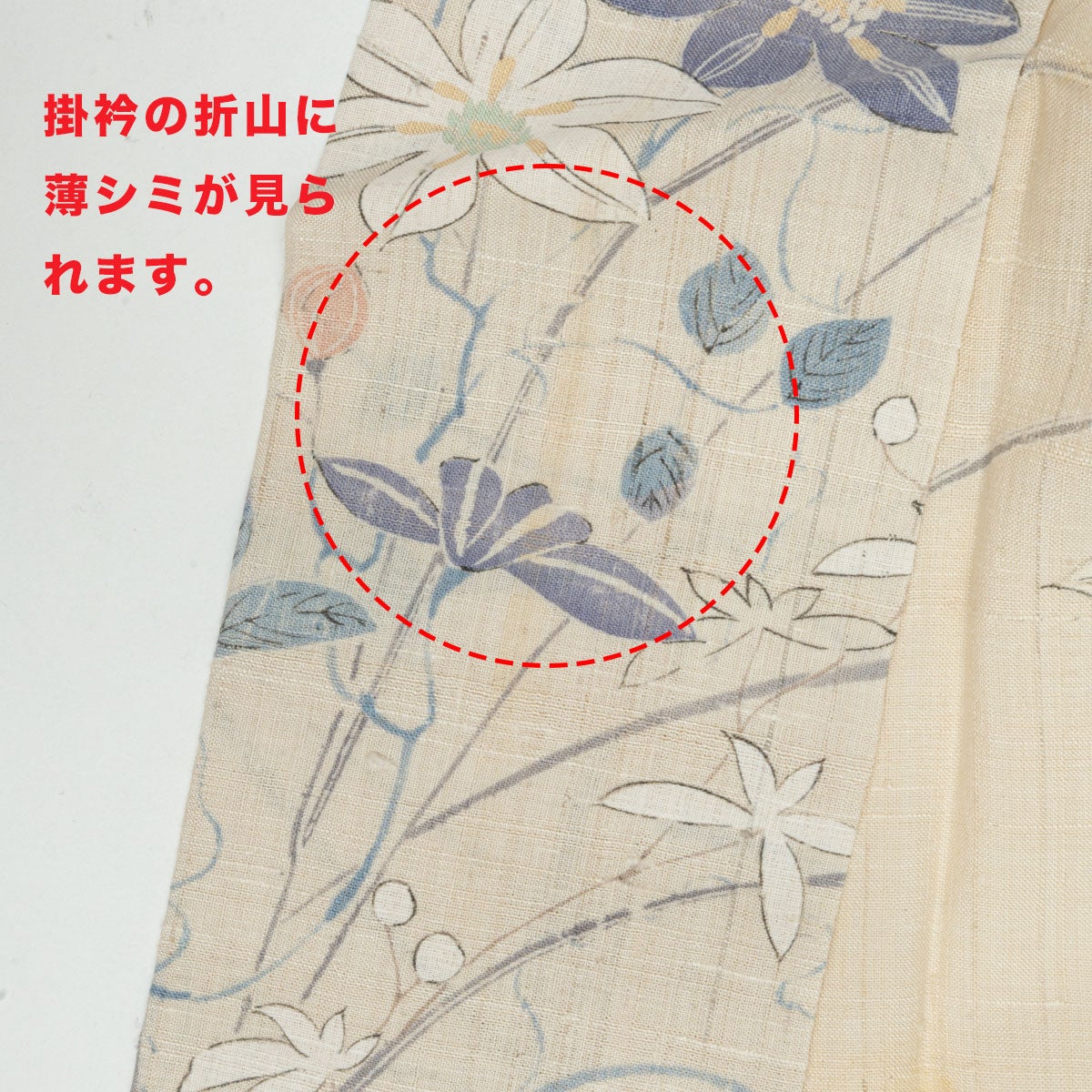 訳アリ品】小柄な方へ 単衣 紬 手描き 若冲風 植物柄 生成色 正絹 身丈